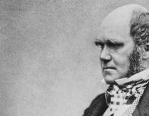 Millises riigis Darwin sündis?