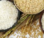Сколько можно хранить вареный рис